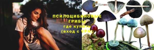 каннабис Майский