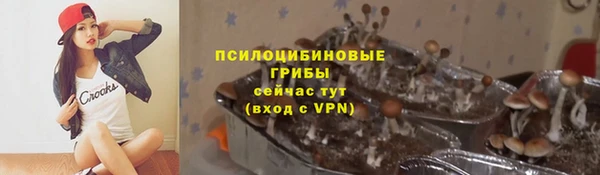 каннабис Майский