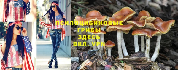 каннабис Майский