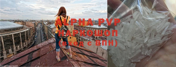 apvp Магадан