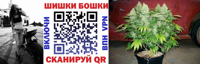 Бошки Шишки план  Купить  Инсар 